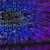 Cyber-Insurance Triggers Higher Ransom Demands